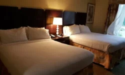 How Serviced Apartments Make Moving Cities Less Stressful